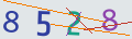 verifycode